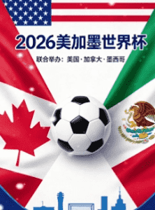 2026世界杯比赛用球