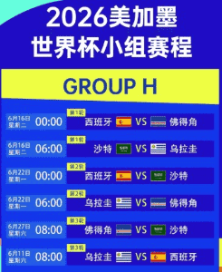2026世界杯竞彩比赛瞬间